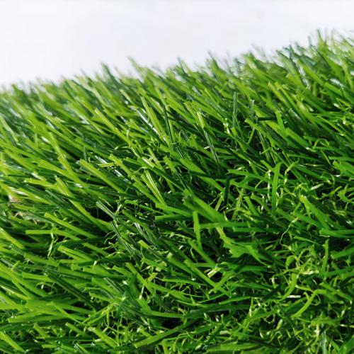 Garden leisure grass