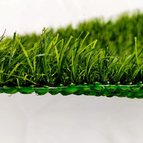 Garden leisure grass