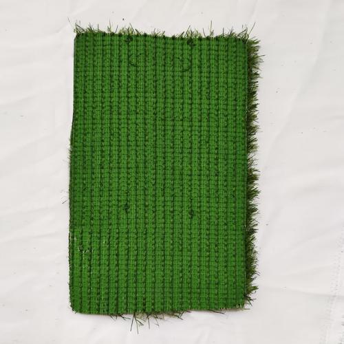 Garden leisure grass