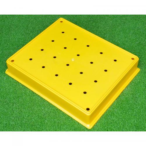 Delin Golf ball box 30 balls holder supplier