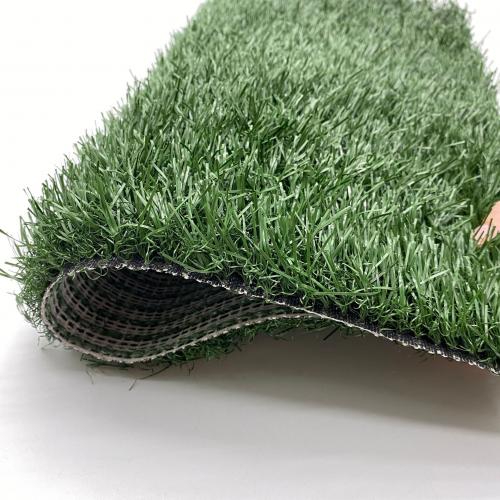 Césped para mascotas, baño para perros