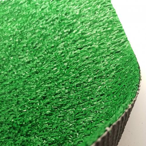 DS004 Constant temperature greening grass