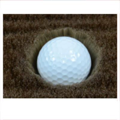 Golf sand pit brush